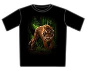 Tiger t-shirt -  Tiger