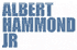 Albert Hammond Jr T-Shirts