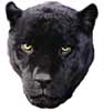 Black Panther T-Shirt