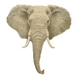 Elephant T-Shirts