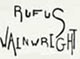 Rufus Wainwright Tshirts