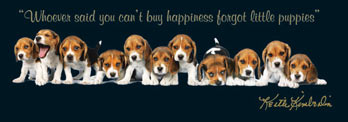 Dog Tshirt - Beagles
