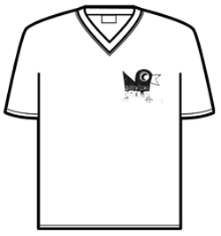 Counting Crows Tshirt - Dist Crow V Neck
