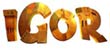 Igor T-Shirts