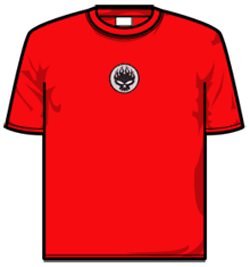 The Offspring Tshirt - Conspiracy Emb Skull