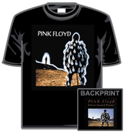Pink Floyd Tshirt - Delicate Sound