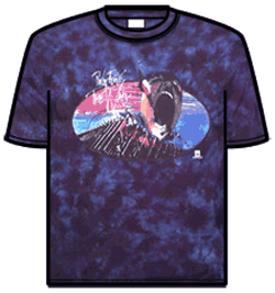 Pink Floyd Tshirt - Run Like Hell Dyed