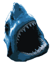 Shark T-Shirts